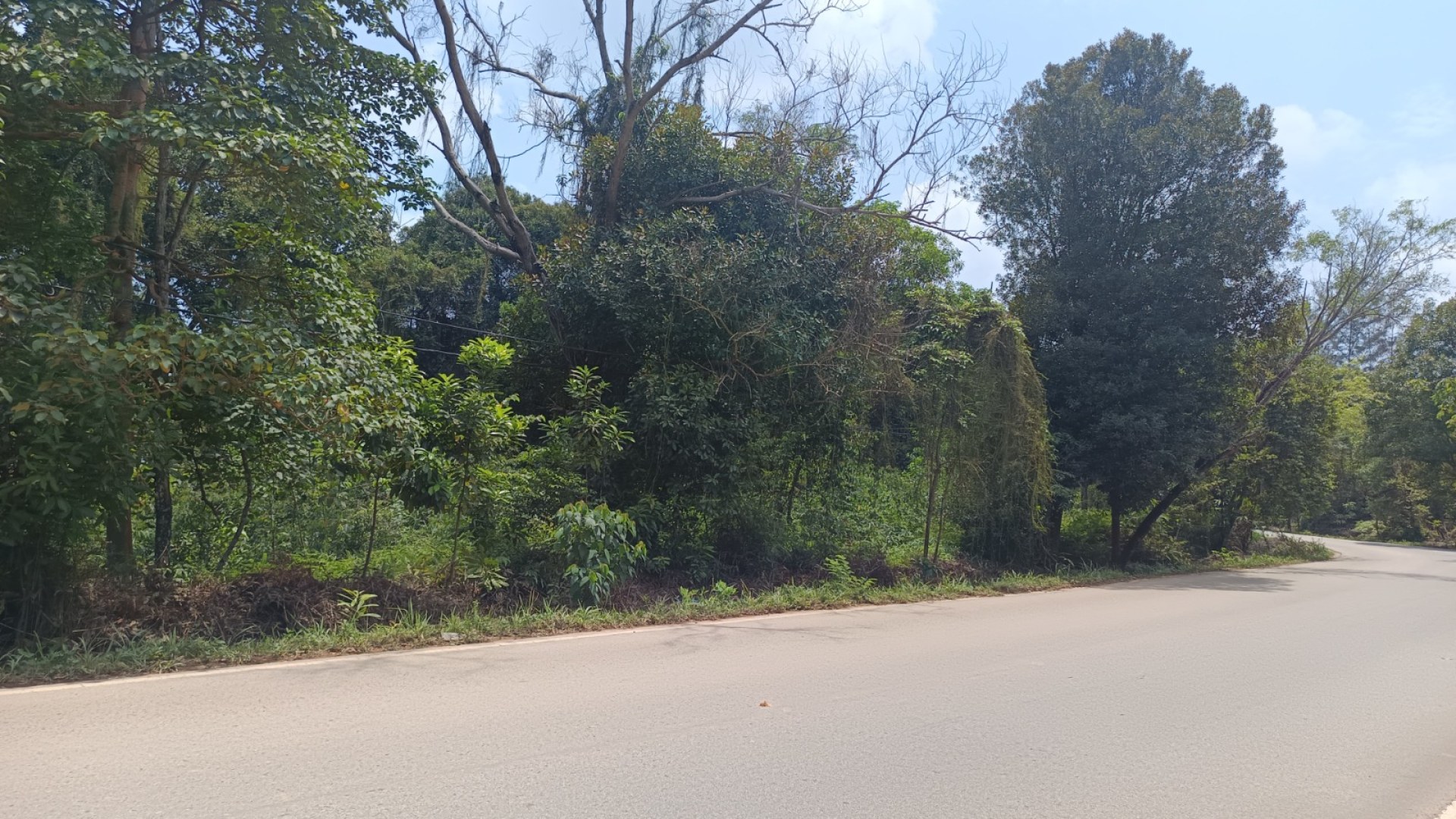 Jl. Tanjung Pinggir — foto 2