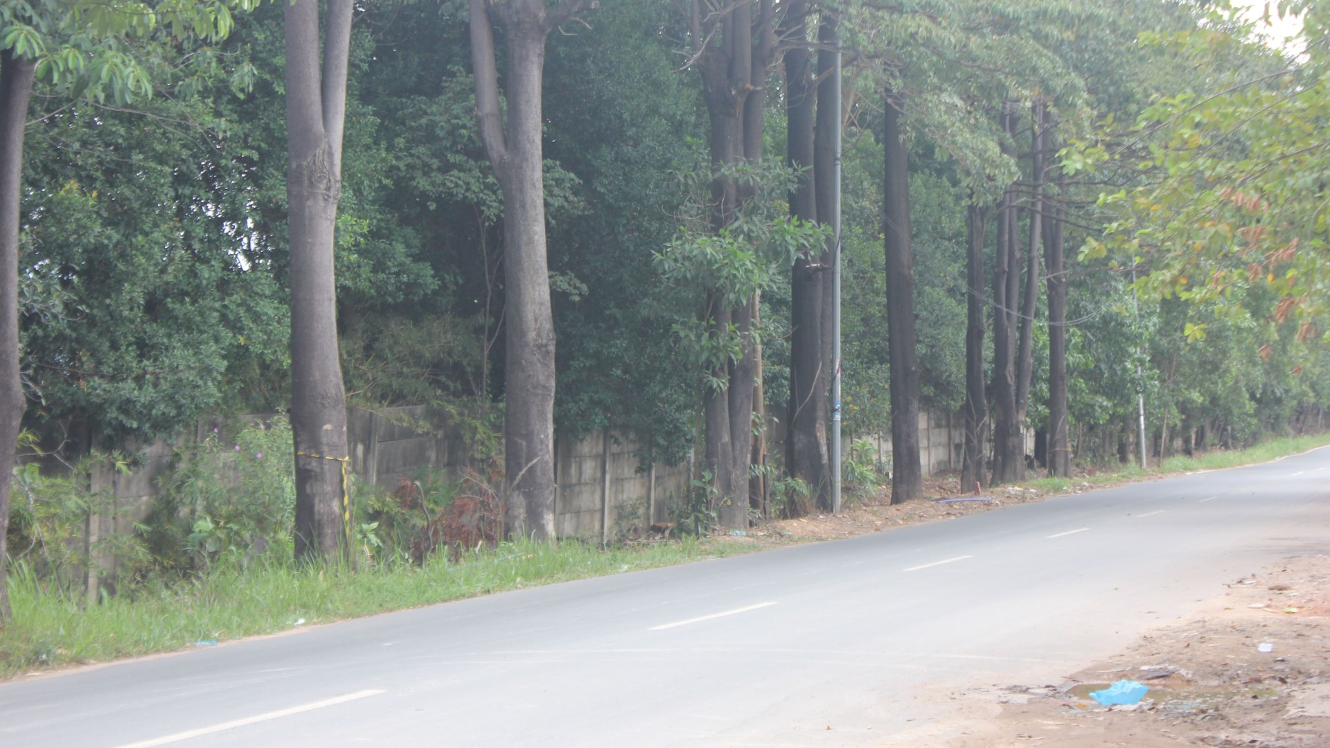 Jl. Bintang