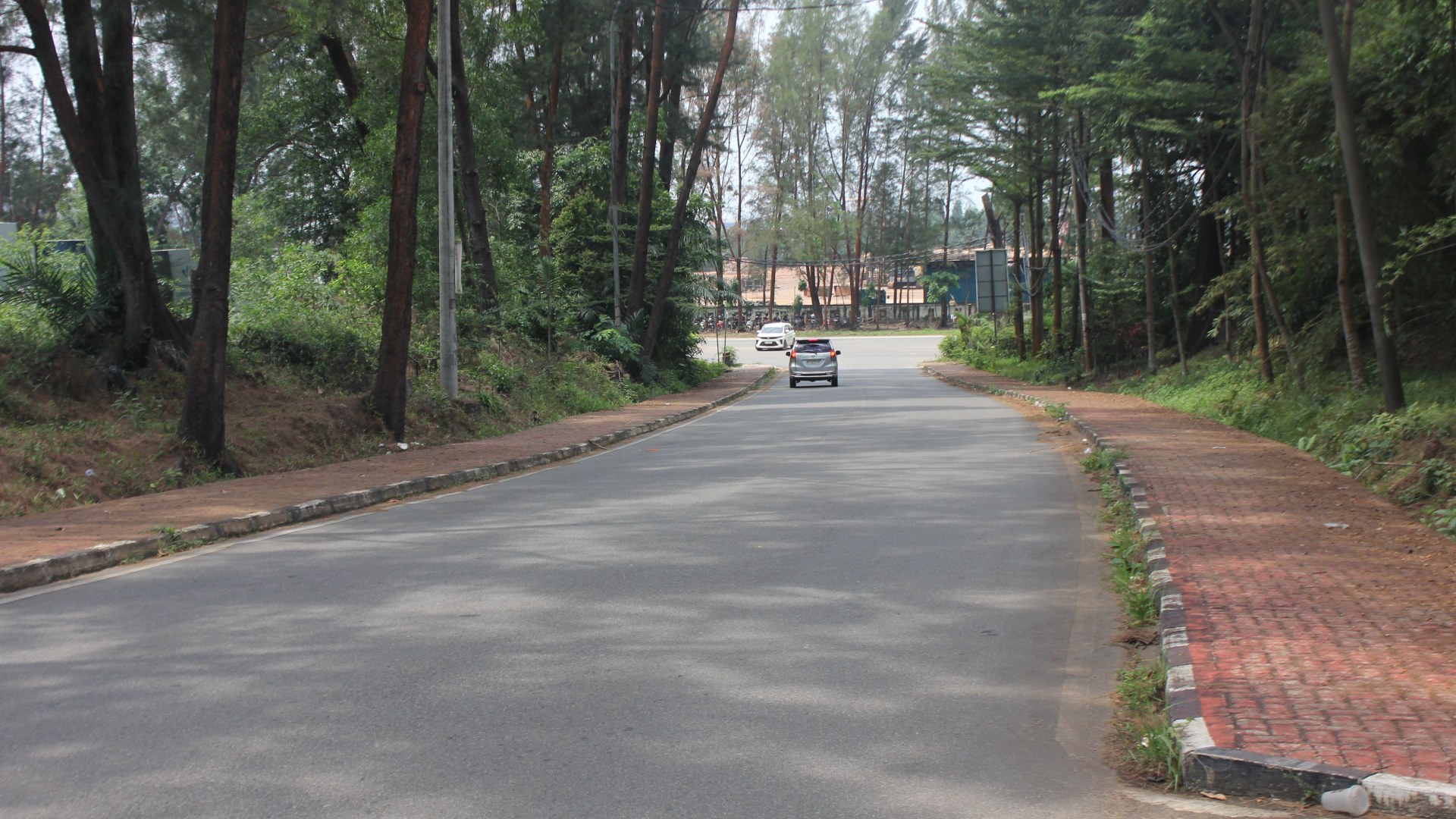 Jl. Dr Cipto Mangun Kusumo (Simp. Taman Rusa - Simp. RSOB) — foto 4