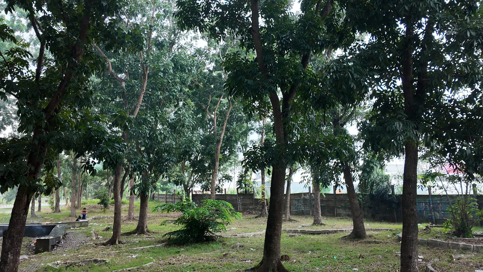 Bufferzone Depan SMP 3 - Taman Jalan Kartini — foto 10