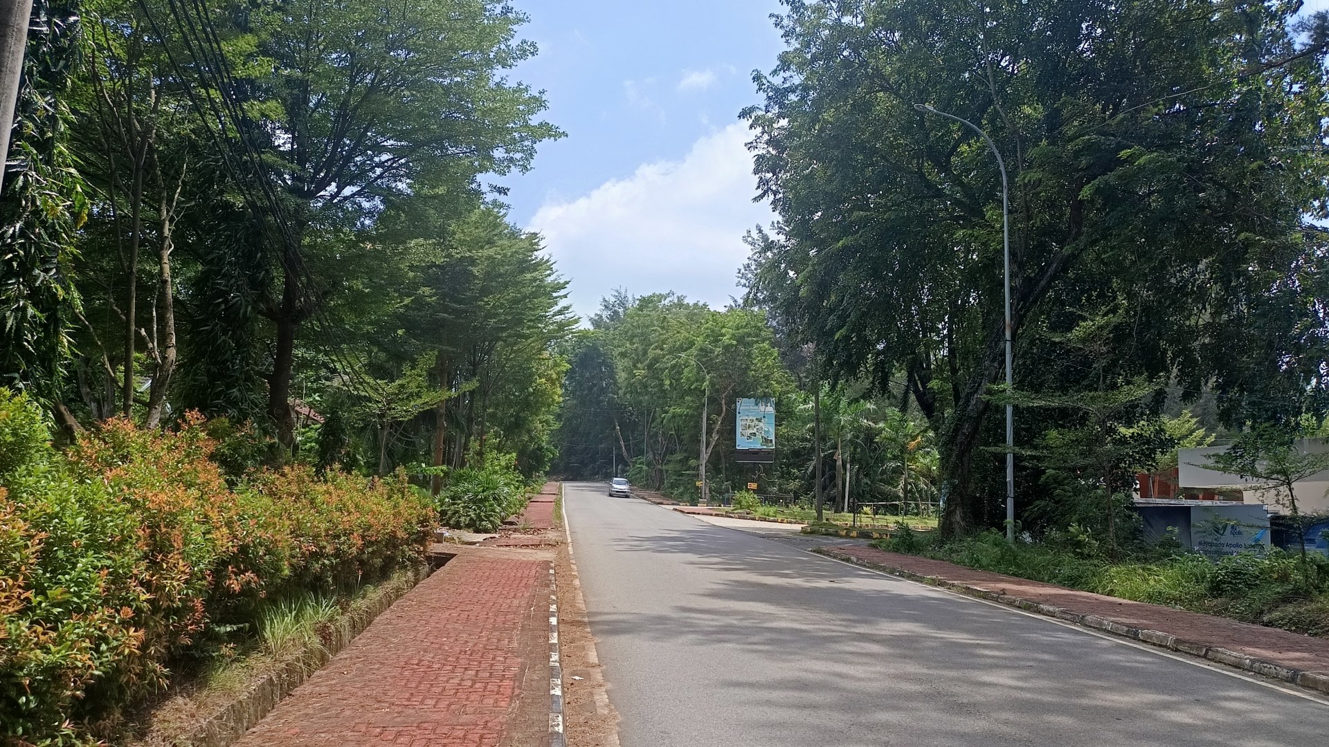 Jl. Dr Cipto Mangun Kusumo (Simp. Taman Rusa - Simp. RSOB)
