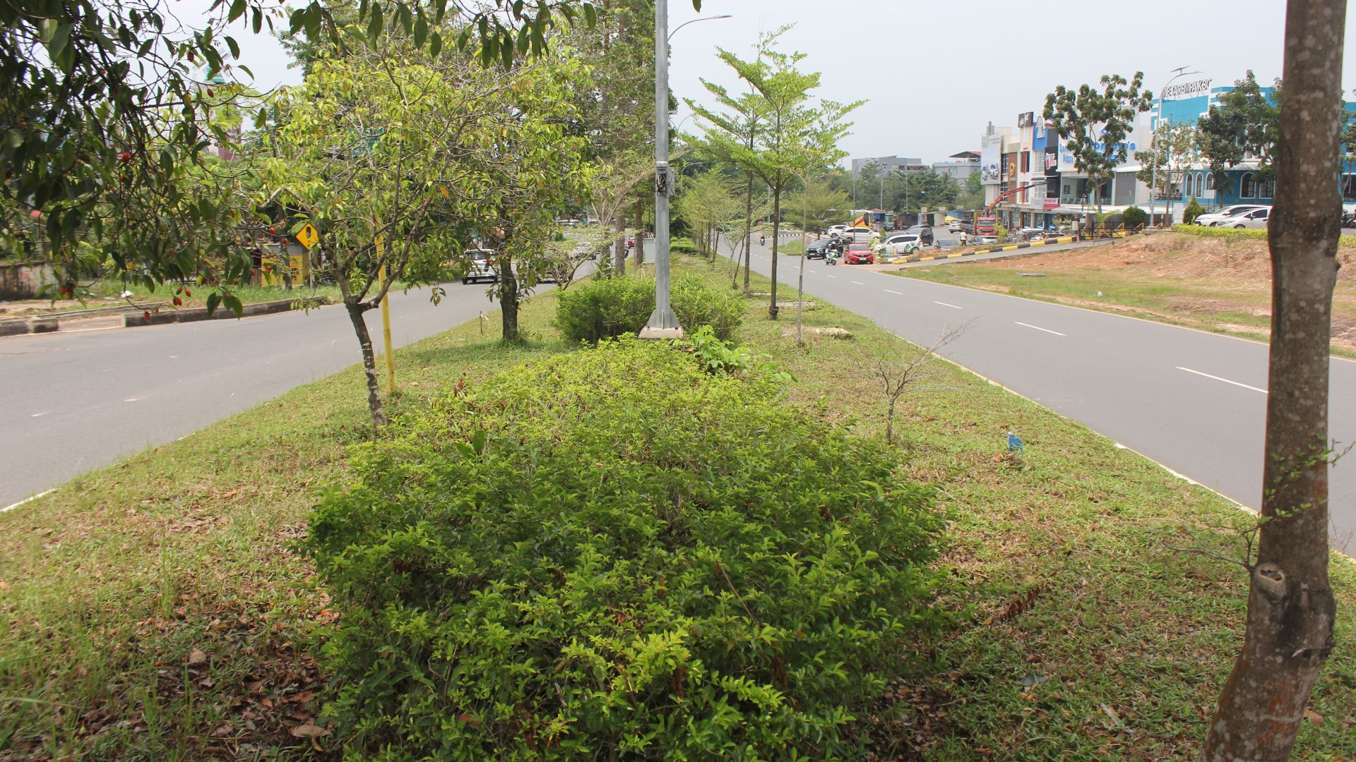 Jl. Selasih  (Simp. RS Elizabeth - Simp. KDA) — foto 7
