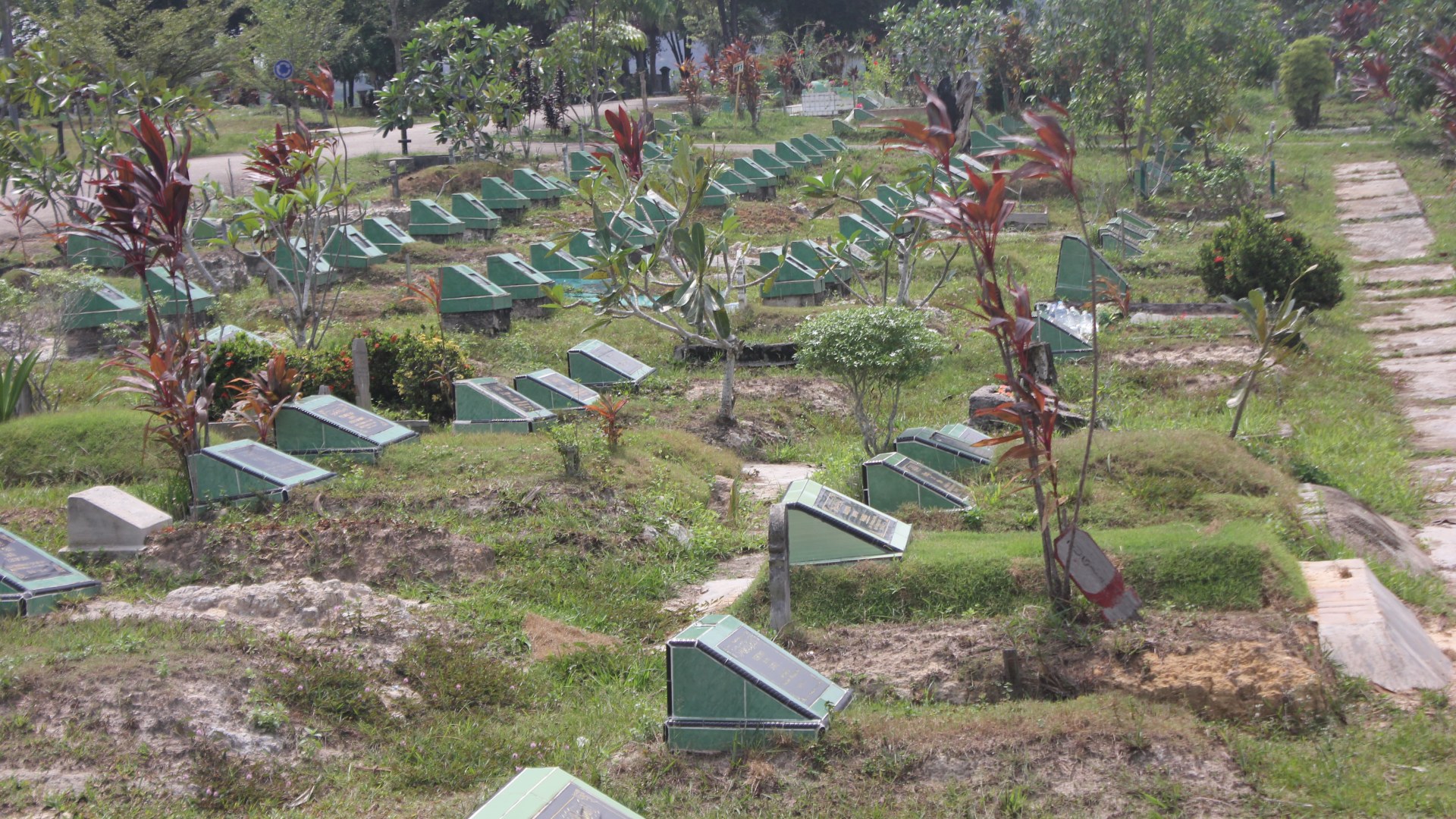 TPU Sei Temiang — foto 14