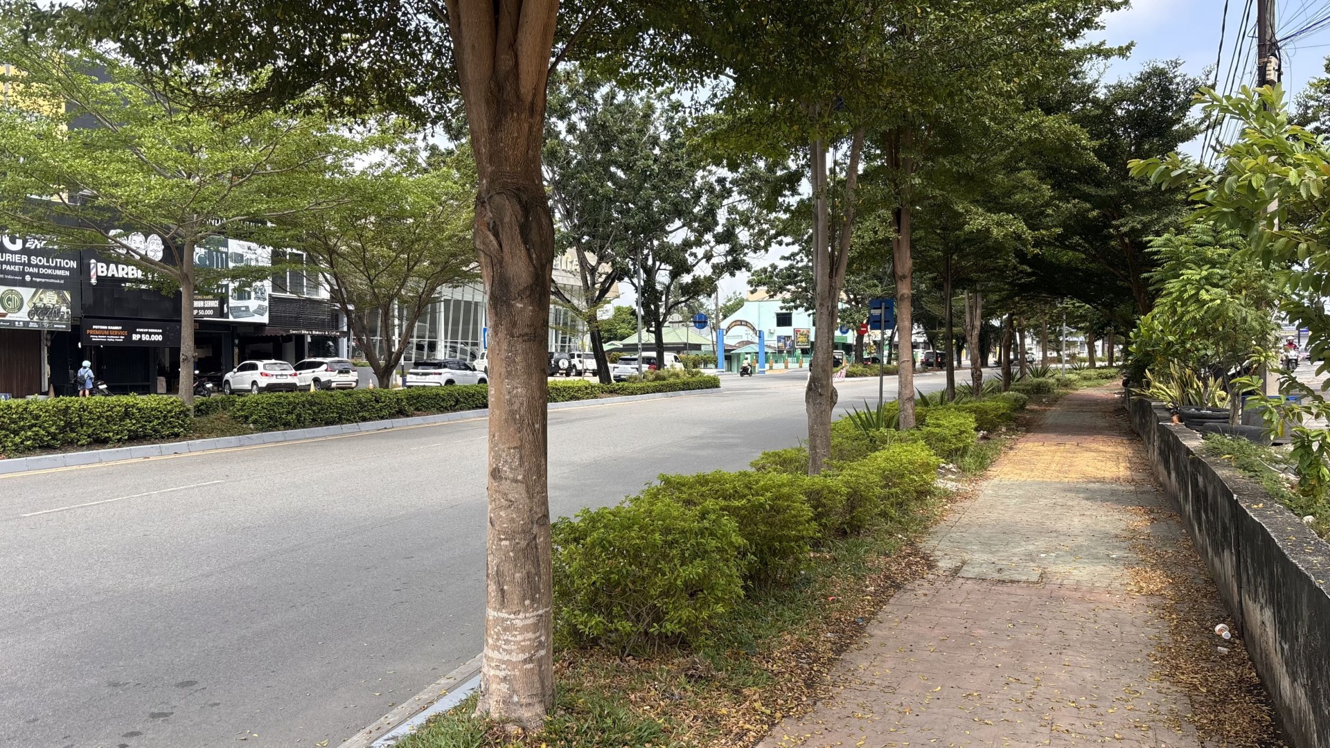 Jl. Bunga Raya — foto 2