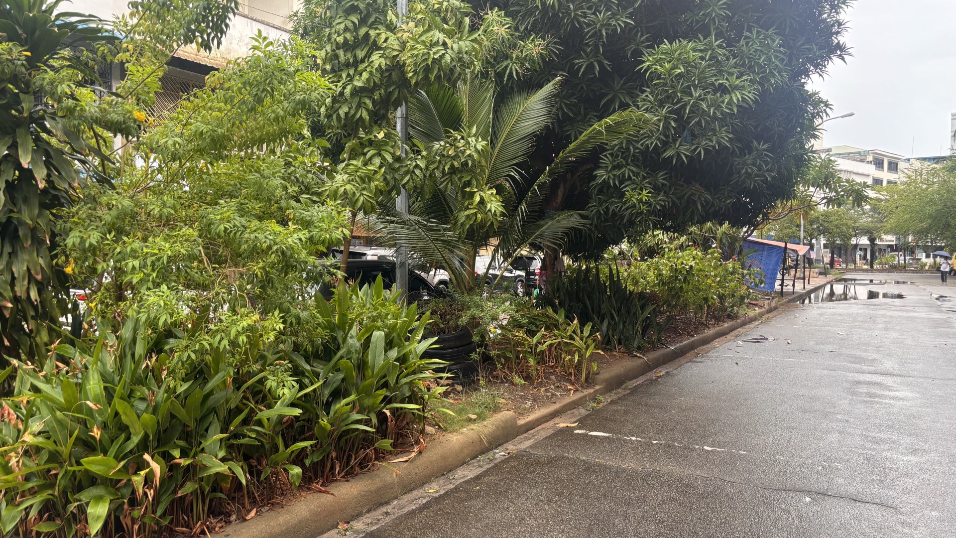 Median Jalan Raja Ali Haji (samping ex Goodway)