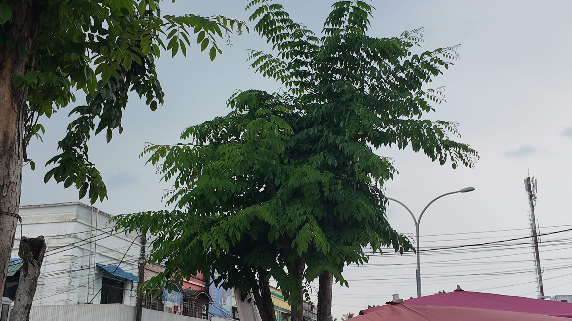 Jl. Tiban Lestari — foto 7