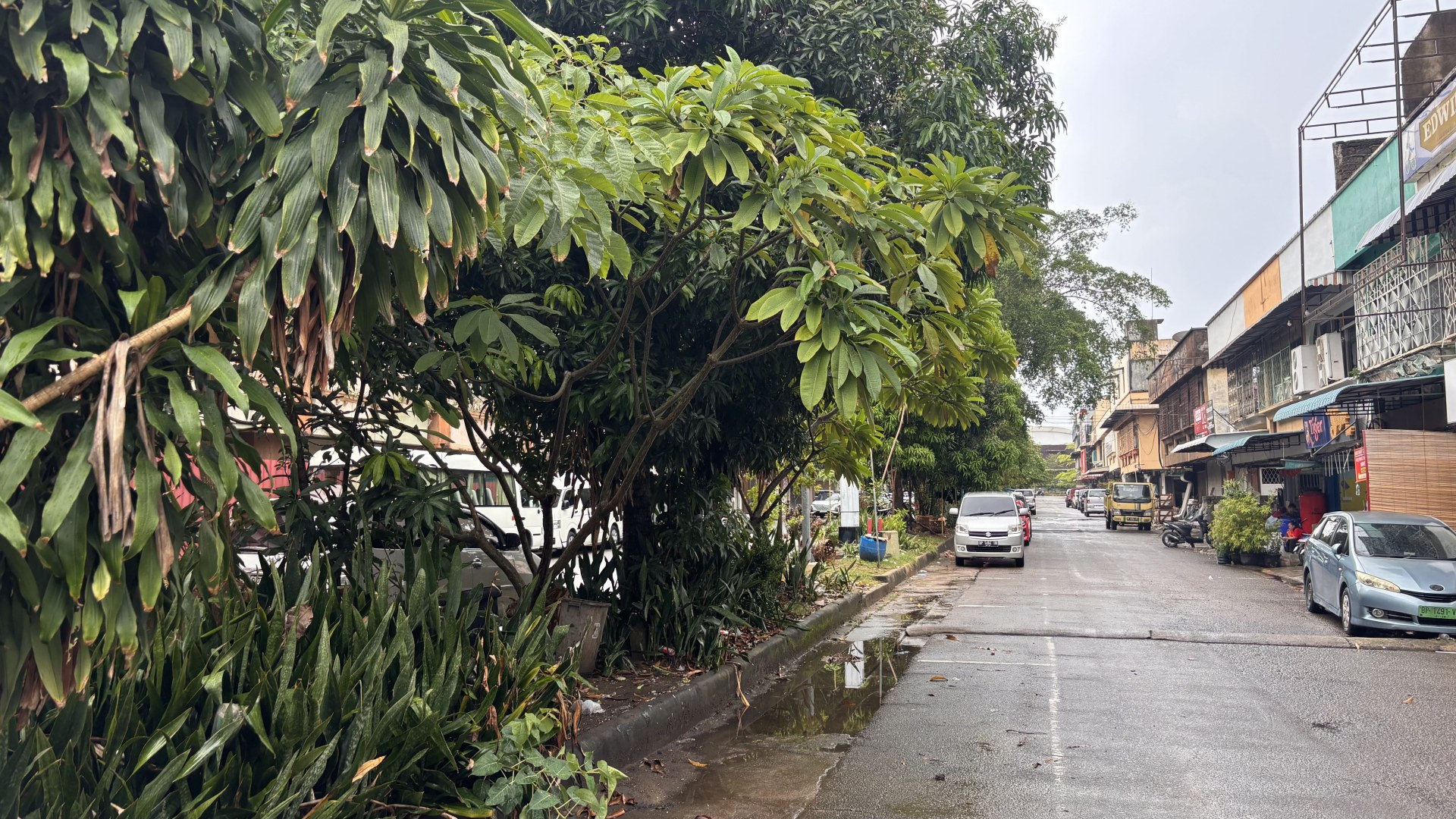 Median Jalan Raja Ali Haji (samping ex Goodway) — foto 3
