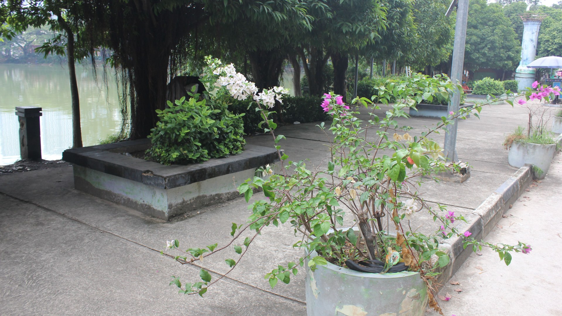 Taman Kolam  Batam Centre — foto 9