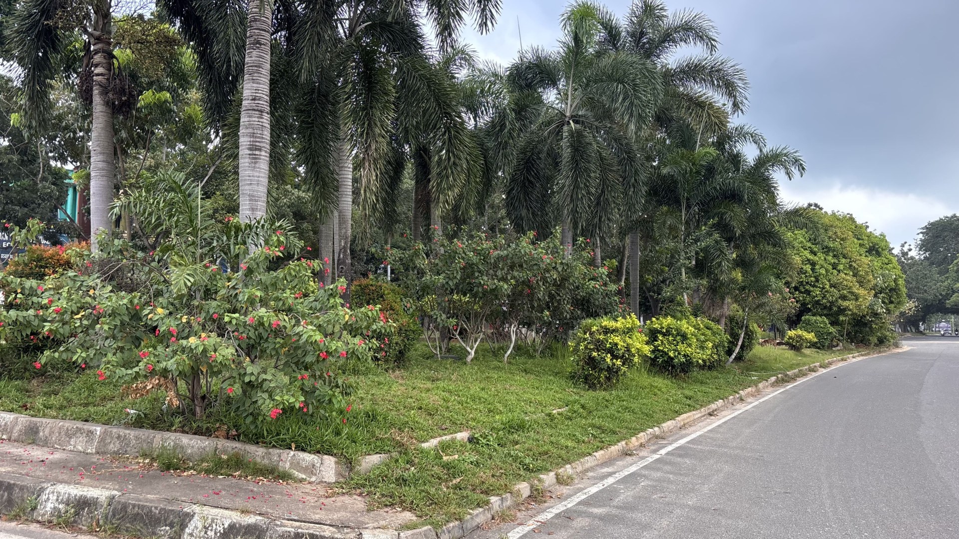 Taman Segitiga Depan Pasar Induk Jodoh — foto 2