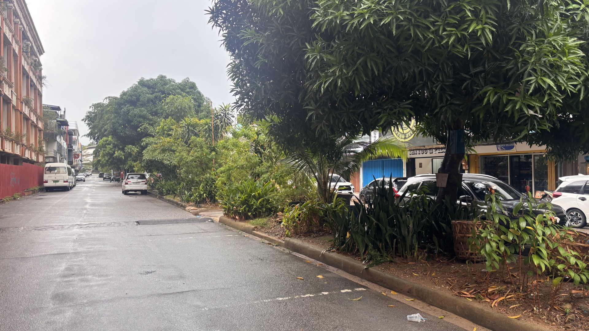 Median Jalan Raja Ali Haji (samping ex Goodway) — foto 7