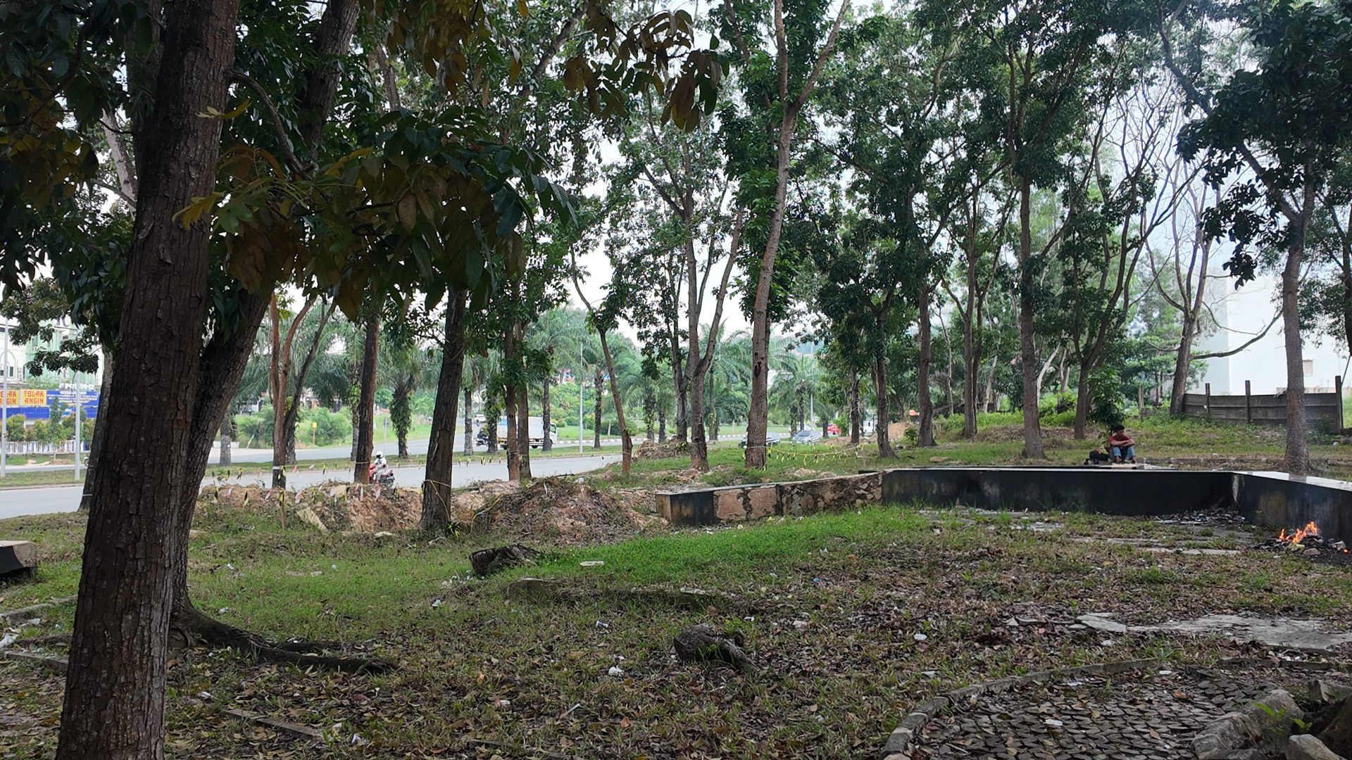 Bufferzone Depan SMP 3 - Taman Jalan Kartini — foto 9