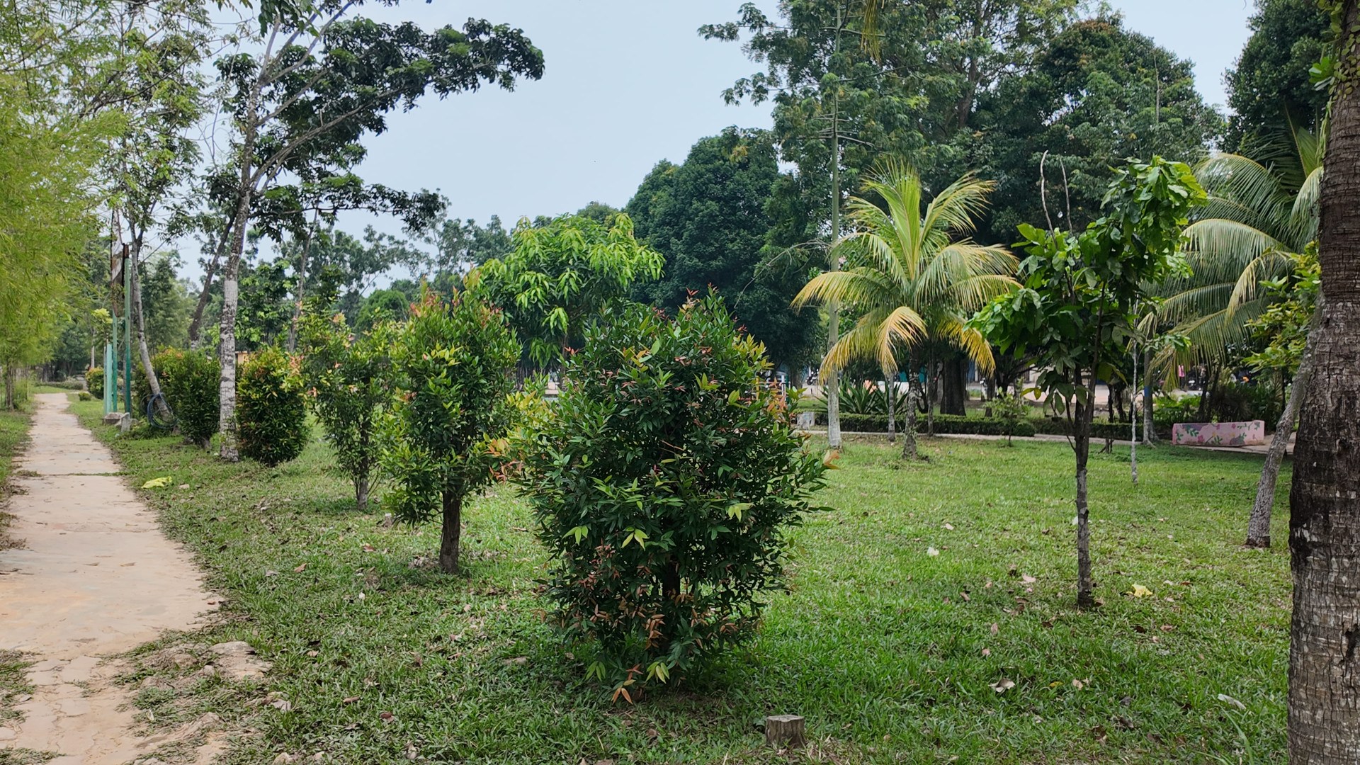 Taman Gajah Mada (Taman Tuan Putri) — foto 10