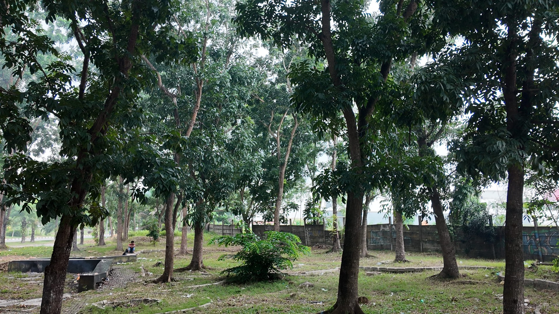 Bufferzone Depan SMP 3 - Taman Jalan Kartini — foto 11
