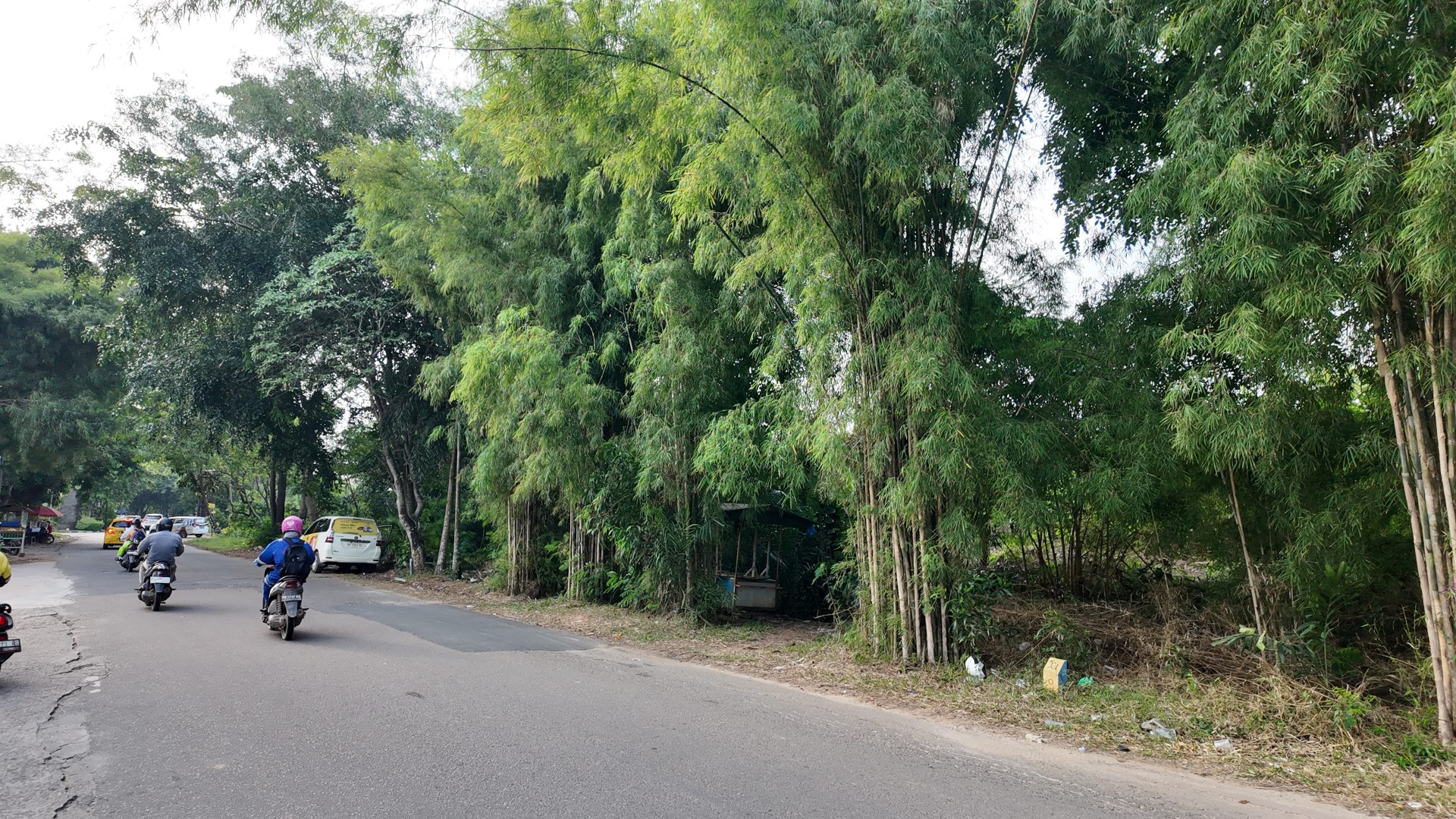 Bufferzone Jalur Lambat  (Simp. Kepri Mall - Simp. Laluan Madani) — foto 3