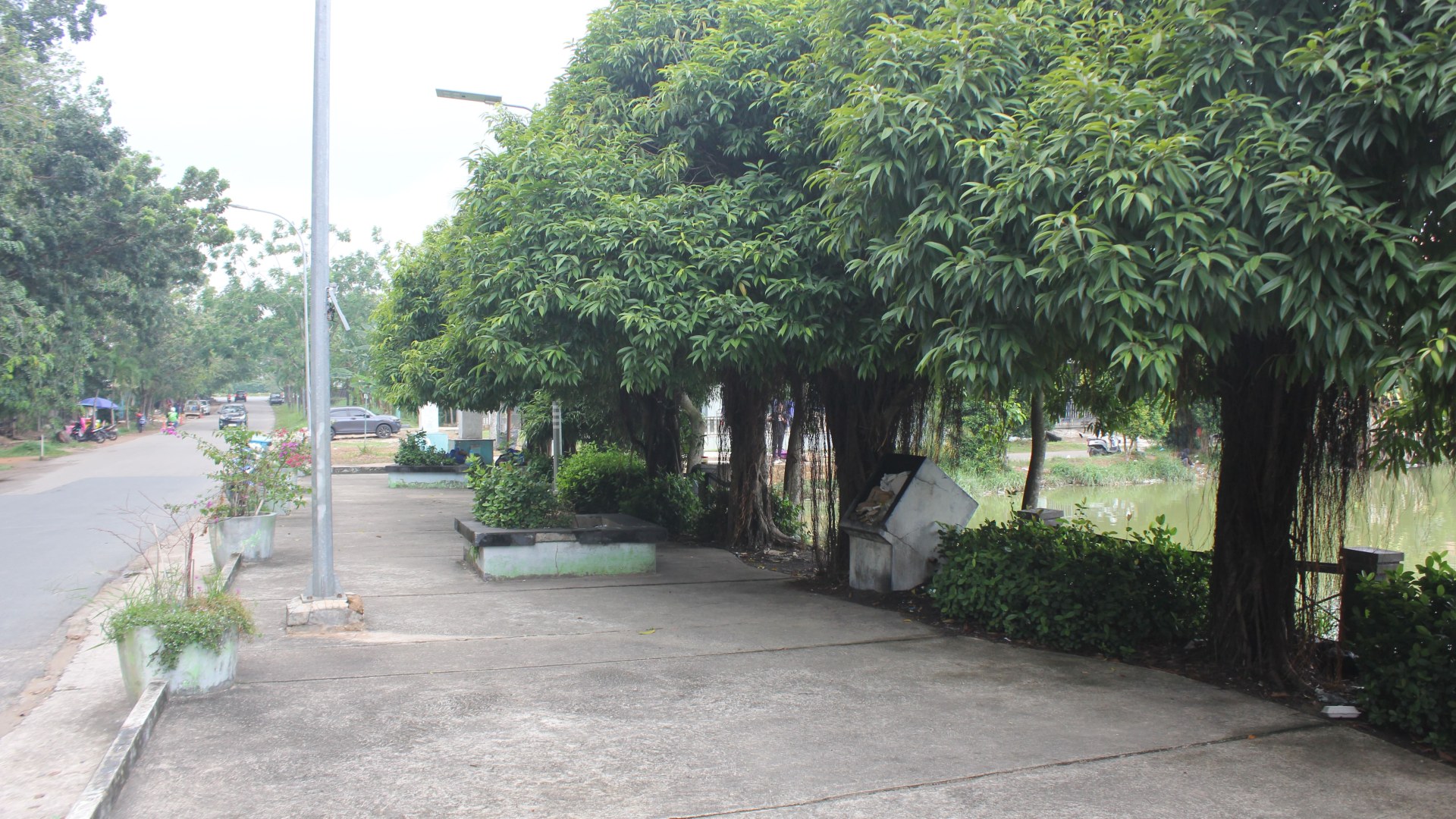 Taman Kolam  Batam Centre — foto 7